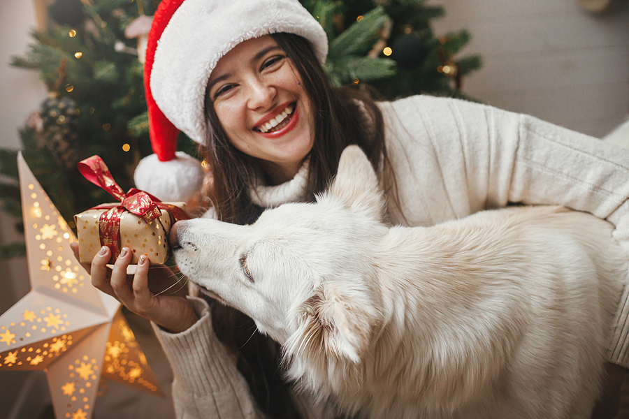 Why is December Said To Be a Good Time to See Your Dentist?